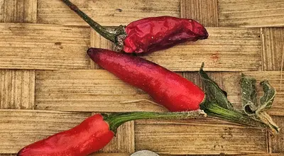 Chili w kuchni tajskiej: odmiany i właściwości