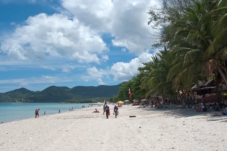 Plaża z palmami na wyspie Koh Samui