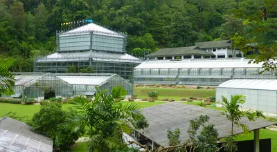 Ogród Botaniczny Królowej Sirikit: canopy walk i szklarnie