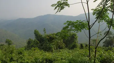 Khao Yai: park narodowy, dżungla i dzikie słonie