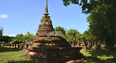 Wat Chang Lom w Sukhotai: chedi i słonie