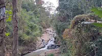 Wodospady koło Chiang Mai: Mae Sa, Bua Tong i Mok Fa