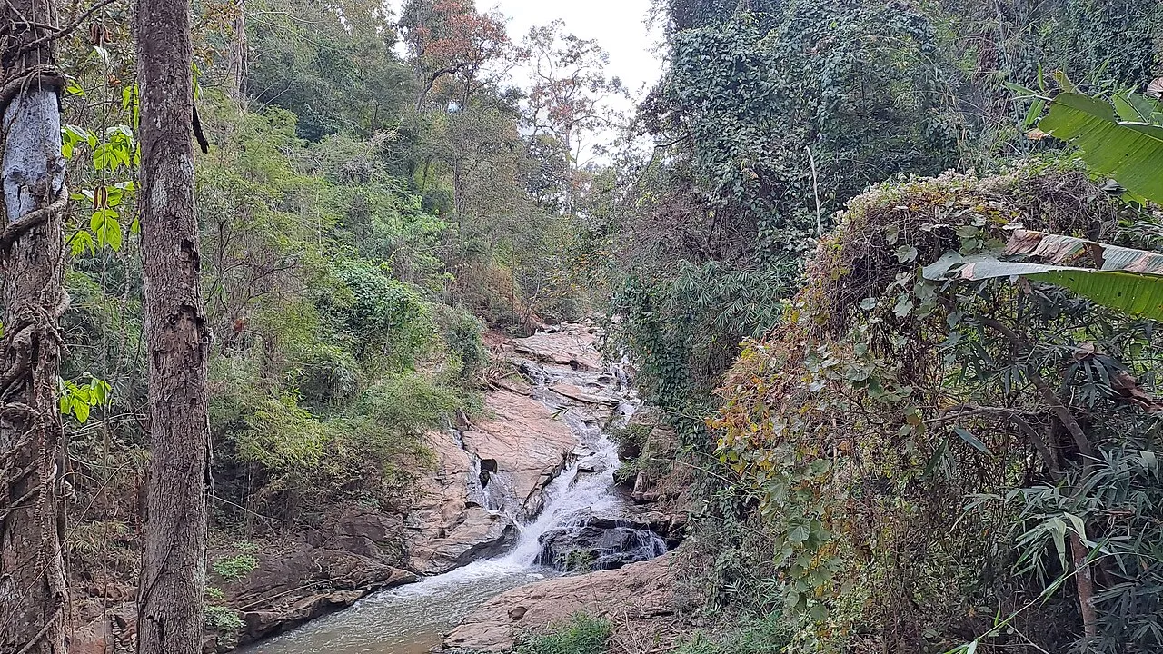 Wodospad Mae Sa w lesie koło Chiang Mai