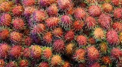 Owoce Tajlandii: durian, mango, rambutan i papaja