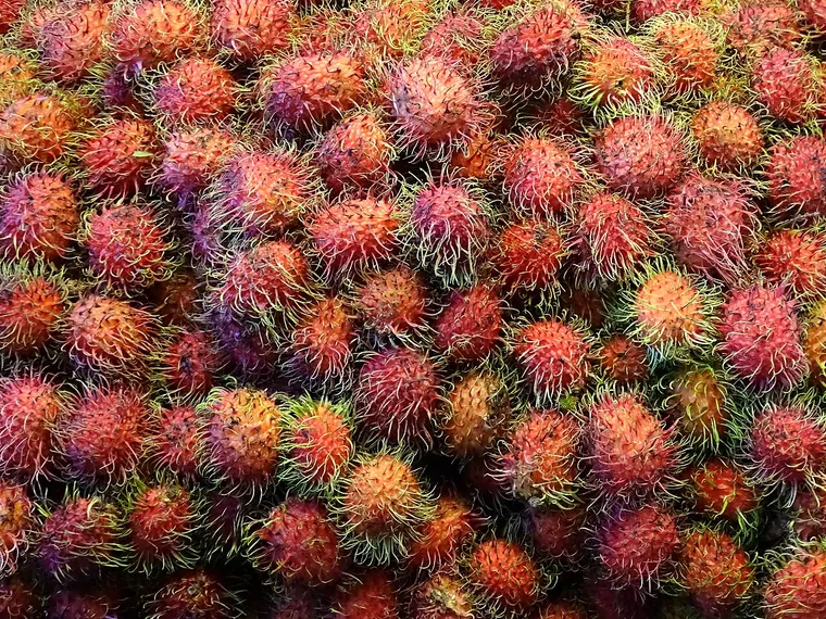Rambutany o włochatej czerwonej skórce na straganie w Chiang Mai