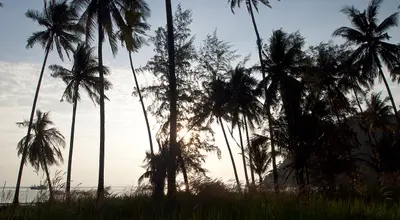 Koh Kood w New York Times: archiwum wyróżnienia wyspy