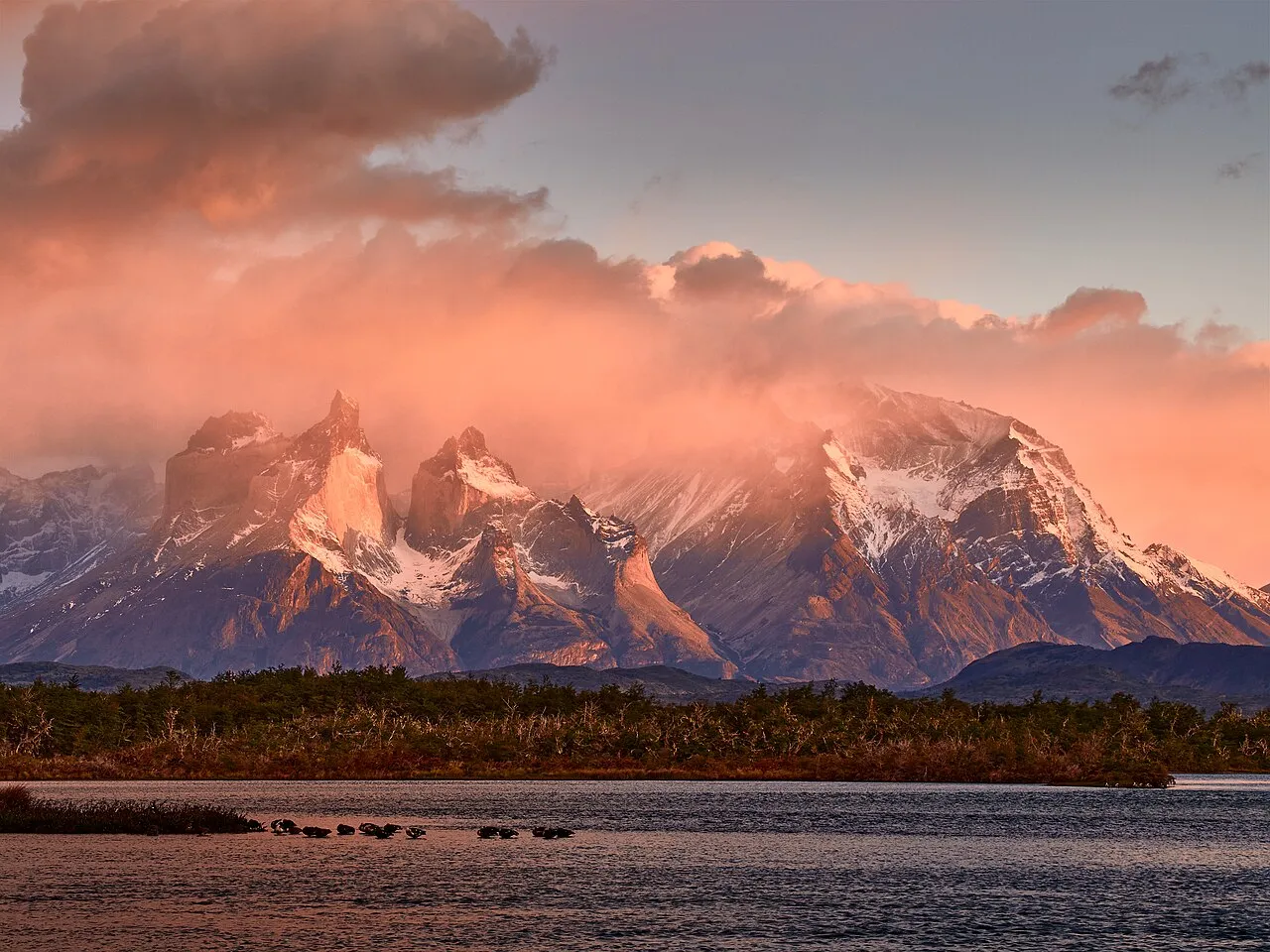 Szczyty Cuernos del Paine w Patagonii w różowym świetle zachodu