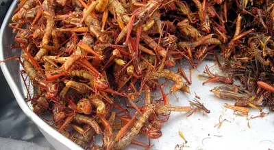 Pieczona szarańcza w Tajlandii: insekty i kuchnia uliczna